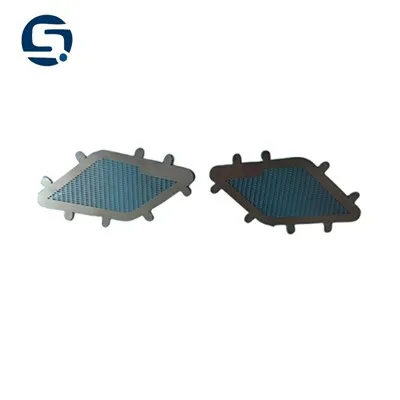 Ponent del cotxe Grill